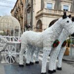 Catania